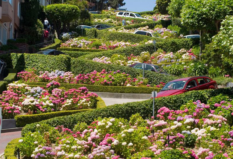 Lombard Street | San Francisco Deluxe Sightseeing Tours